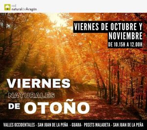 Viernes naturales de otoño en San Juan de la Peña 2024